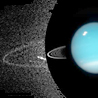 Új gyűrűk és holdak az Uránusz körül