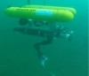 Sokoldalú víz alatti robot
