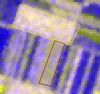 A kukoricabogár lárvakártétel távérzékeléses monitorozása  űrfelvételek segítségével (2. rész)