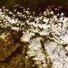 Az őszi Lappföld – Űrfelvétel az ELTE műholdvevő állomásáról