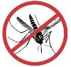Környezetbarát szúnyogirtás