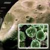 A nagy utazás: élőlények a Phobosra