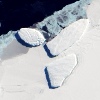 A tengeri jég „arcai”
