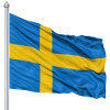 Svédország űrtevékenysége